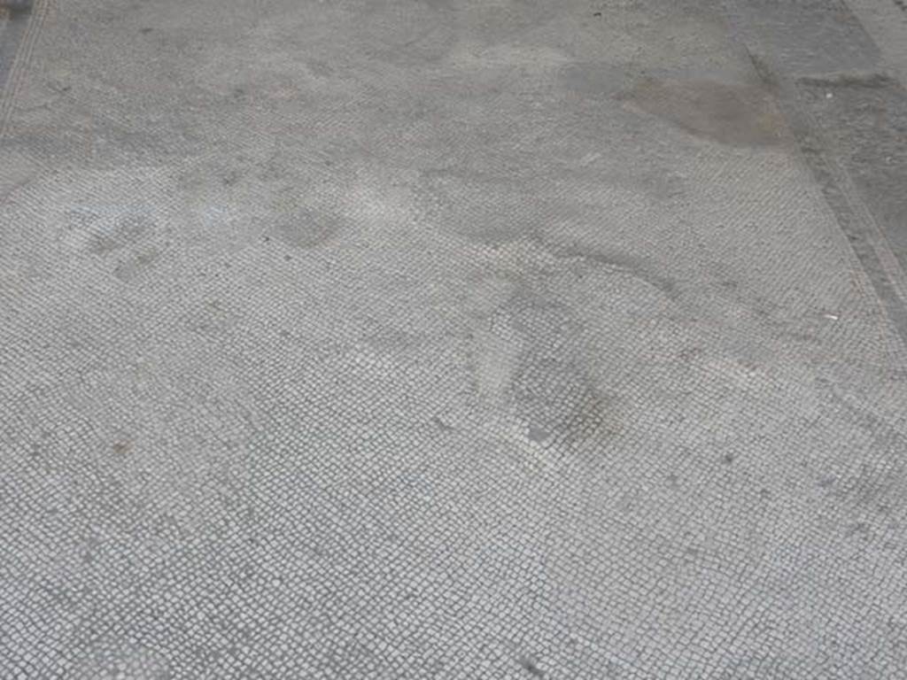 VII.4.48 Pompeii. May 2015. Room 11, mosaic floor in tablinum.
Photo courtesy of Buzz Ferebee.