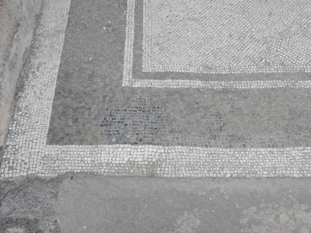 VII.4.48 Pompeii. May 2015. Room 11, detail of mosaic floor in north-east corner of tablinum. Photo courtesy of Buzz Ferebee.