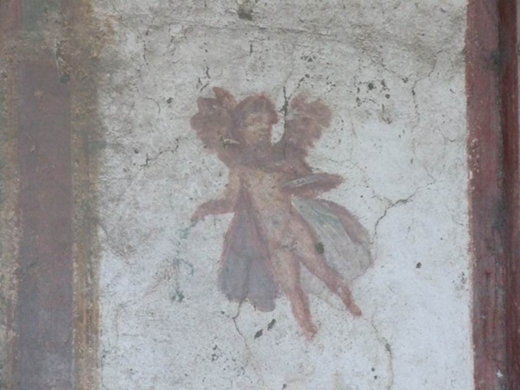 VII.4.48 Pompeii. December 2007. Room 14, cubiculum. West wall.   
Wall painting of a winged cupid.