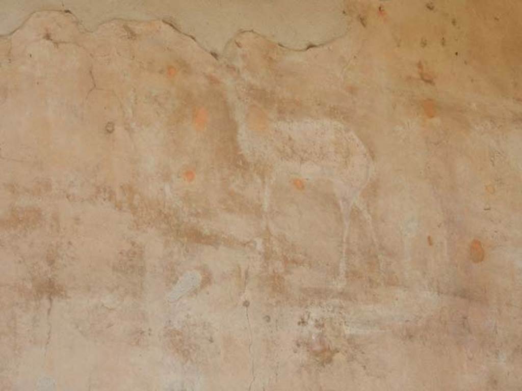 VII.4.48 Pompeii. May 2015. Painted animal from upper centre of south wall 
Photo courtesy of Buzz Ferebee.