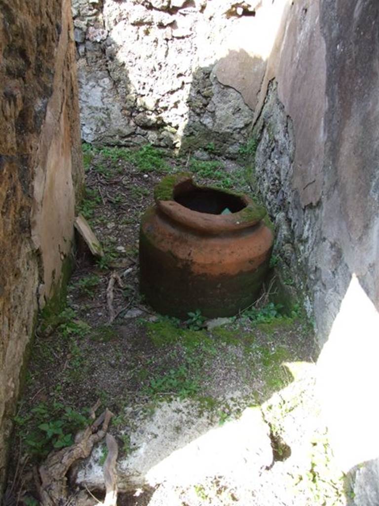 VII.4.56 Pompeii.  March 2009.  Room 8. Staircase, looking north to cupboard entrance under stairs.