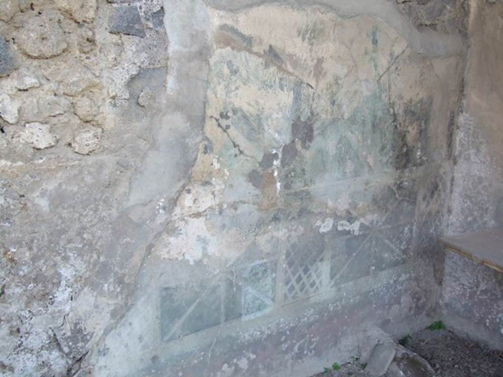 VII.4.56 Pompeii.  March 2009.  East wall of garden area, with remains of garden paintings.