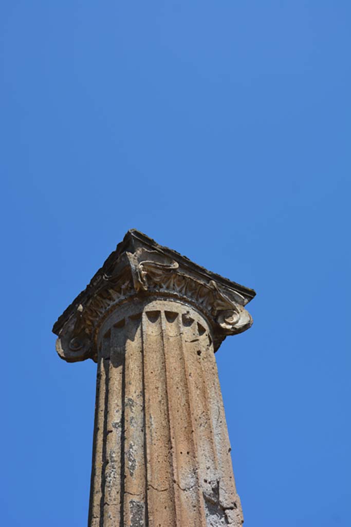 VII.4.57 Pompeii. September 2019. 
Detail of column and capital on north portico of peristyle.
Foto Annette Haug, ERC Grant 681269 DÉCOR.