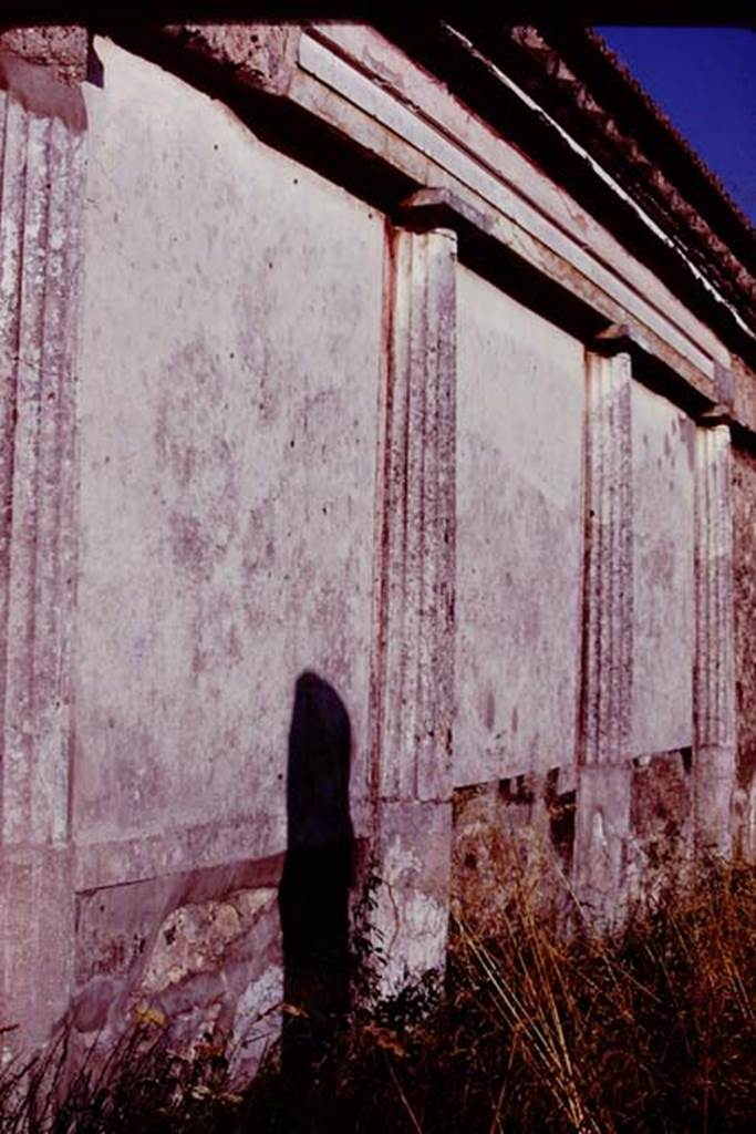 VII.4.59 Pompeii, 1978. Looking south along east wall in peristyle. Photo by Stanley A. Jashemski.   
Source: The Wilhelmina and Stanley A. Jashemski archive in the University of Maryland Library, Special Collections (See collection page) and made available under the Creative Commons Attribution-Non Commercial License v.4. See Licence and use details. J78f0087