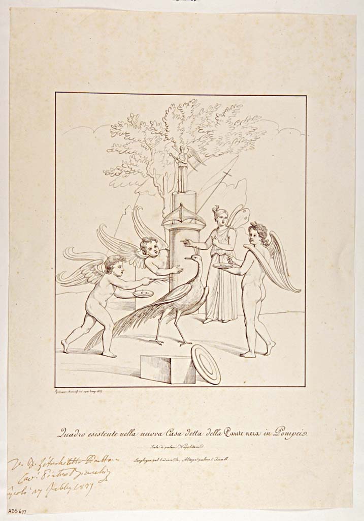 VII.4.59 Pompeii. Drawing by Giuseppe Marsigli, 1837, a copy of the painting of Cupids and Psyche making sacrifices to Hera.
Found in the Exedra or triclinium y, south wall. 
Now in Naples Archaeological Museum. Inventory number ADS 677.
Photo © ICCD. http://www.catalogo.beniculturali.it
Utilizzabili alle condizioni della licenza Attribuzione - Non commerciale - Condividi allo stesso modo 2.5 Italia (CC BY-NC-SA 2.5 IT)