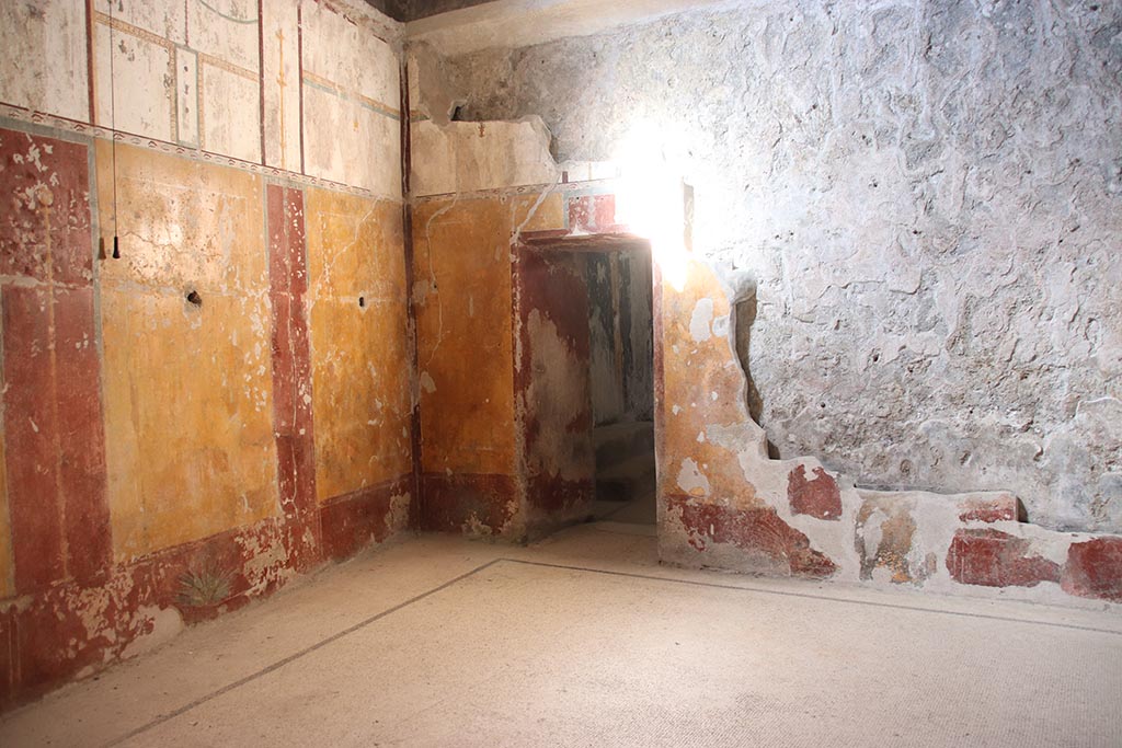 VII.5.8 Pompeii. October 2024. 
Tepidarium (49), looking towards north-west corner and doorway into room (46) in north wall. Photo courtesy of Klaus Heese.