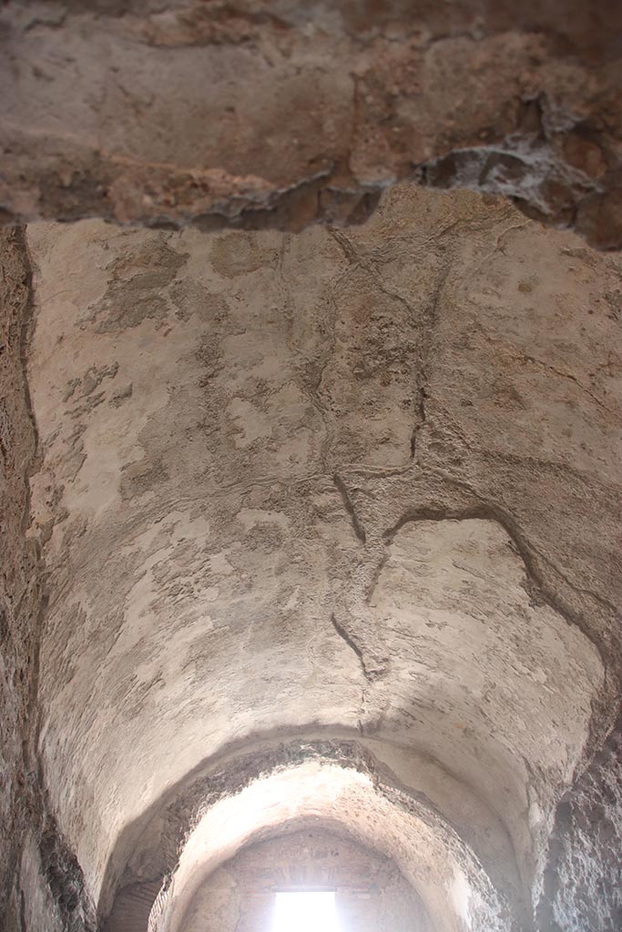 VII.5.8 Pompeii. October 2024. 
Caldarium (50), looking north along vaulted ceiling. Photo courtesy of Klaus Heese.