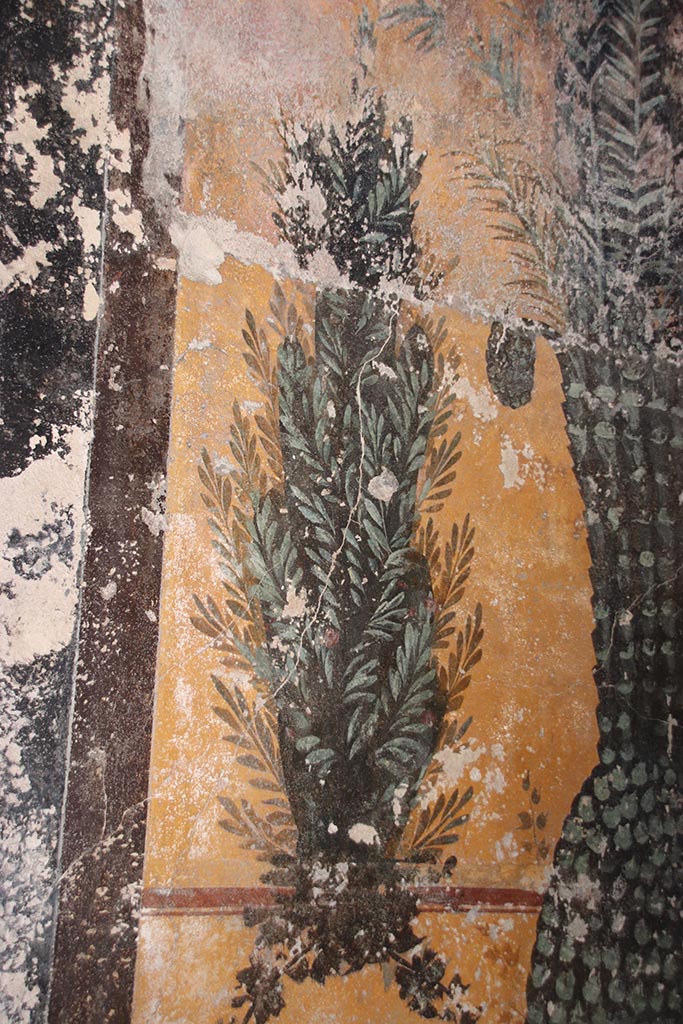 VII.5.8 Pompeii. October 2024. 
Frigidarium basin 48, detail from south side of west wall of basin. Photo courtesy of Klaus Heese.
