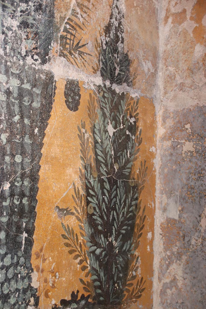 VII.5.8 Pompeii. October 2024. 
Frigidarium basin 48, detail from north side of west wall of basin. Photo courtesy of Klaus Heese.