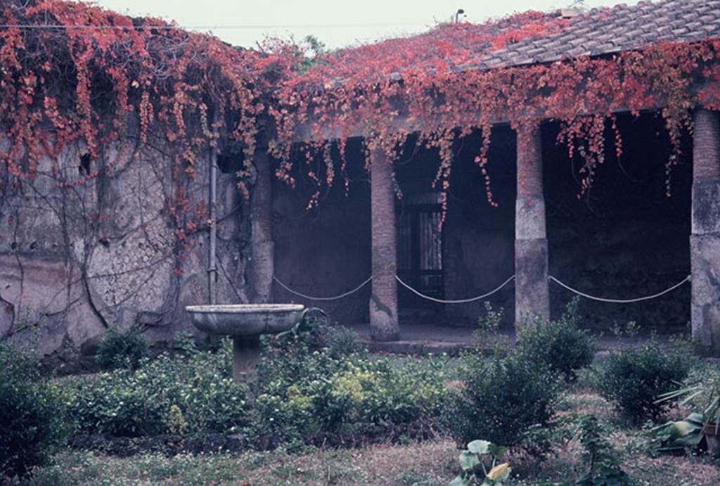 VII.5.24 Pompeii. November 1966. Looking south-west across courtyard (5). Photo courtesy of Rick Bauer.
A rainwater channel (6) ran around the courtyard to take the water from the portico (7).
According to Fiorelli –
In the south-west corner was another exit from the Baths, having a very large latrine nearby. 
(This would have led to present-day entrance at VII.5.12 in the Vicolo delle Terme).