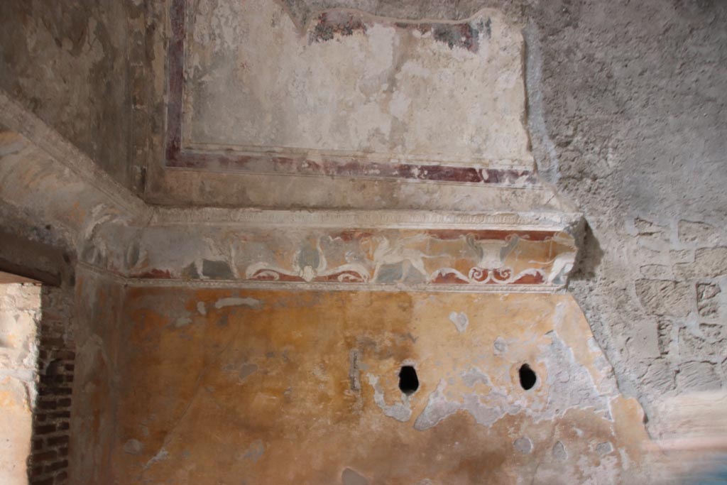 VII.5.24 Pompeii. May 2024. 
Apodyterium (14), detail of painted decoration from upper west wall in south-west corner. Photo courtesy of Klaus Heese.
