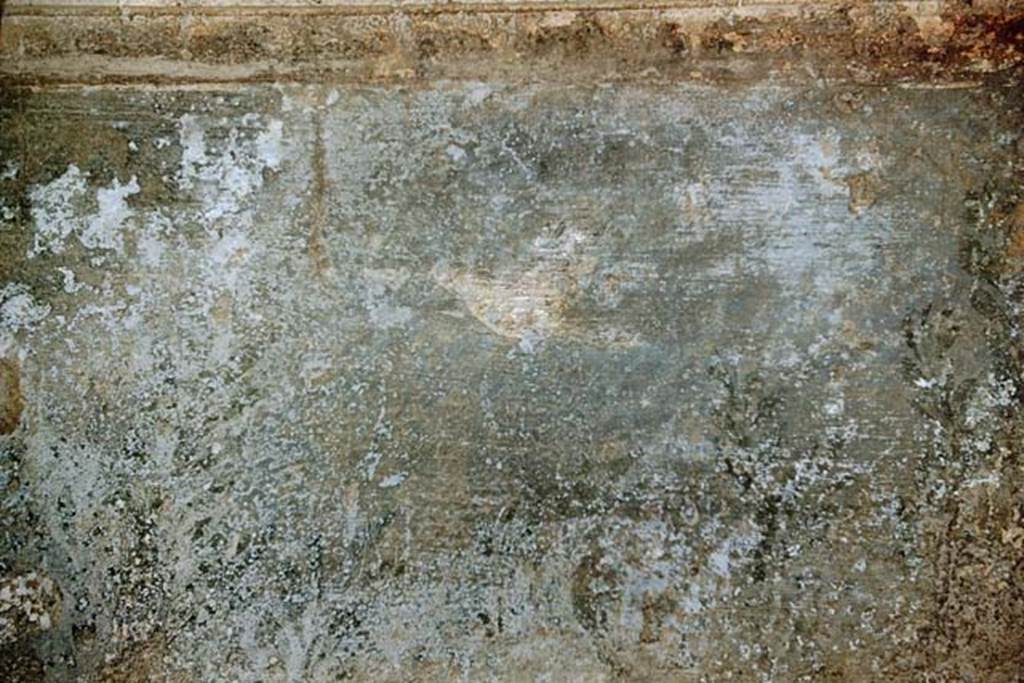 VII.5.24 Pompeii. 1959. In the frigidarium there were garden scenes in the niches with a blue background. 
Photo by Stanley A. Jashemski.
Source: The Wilhelmina and Stanley A. Jashemski archive in the University of Maryland Library, Special Collections (See collection page) and made available under the Creative Commons Attribution-Non Commercial License v.4. See Licence and use details.
J59f0567