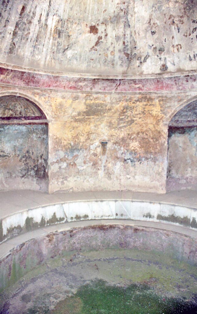VII.5.24 Pompeii. October 2001. 
Frigidarium, remains of painted plaster. Photo courtesy of Peter Woods.