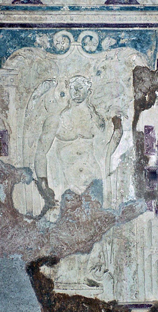 VII.5.24 Pompeii. October 2001. 
Detail of ceiling plaster stucco in south-east corner of tepidarium.
Photo courtesy of Peter Woods.