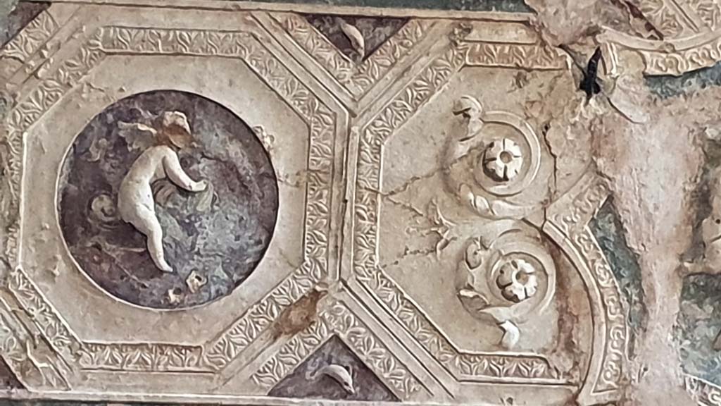 VII.5.24 Pompeii. August 2021. Detail from ceiling plaster stucco in south-east corner of tepidarium.
Foto Annette Haug, ERC Grant 681269 DÉCOR.