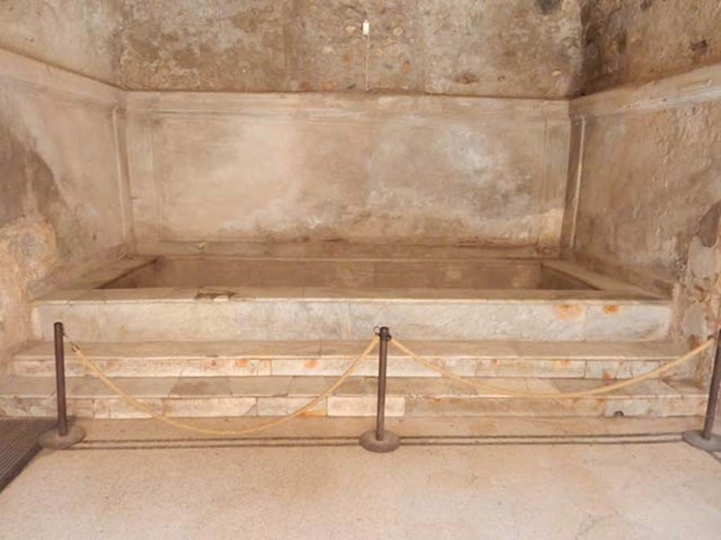 VII.5.24 Pompeii. May 2015. Marble hot bath (42) in north end of caldarium (39).   
Photo courtesy of Buzz Ferebee.