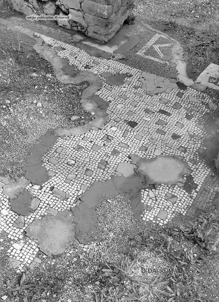 VII.6.3 Pompeii. c.1930. Room 12, flooring in tablinum. 
DAIR 41.657. Photo © Deutsches Archäologisches Institut, Abteilung Rom, Arkiv.
See Pernice, E.  1938. Pavimente und Figürliche Mosaiken: Die Hellenistische Kunst in Pompeji, Band VI. Berlin: de Gruyter, (p.58-59, and taf. 21,1 above).
According to PPM –
"The room, restored after the 62 earthquake, preserved the primitive phase of the floor in white tiles with inserts of yellow limestone, red, green, white and dark blue, and with a black border."
(“La stanza, restaurata dopo il terremoto del 62, conservava della fase primitiva il pavimento in tessere bianche con crustae di calcare giallo, rosso, verde, bianco e blu scuro, e bordo nero.”)
See Carratelli, G. P., 1990-2003. Pompei: Pitture e Mosaici. VII,7, Roma: Istituto della enciclopedia italiana, (p. 174.)