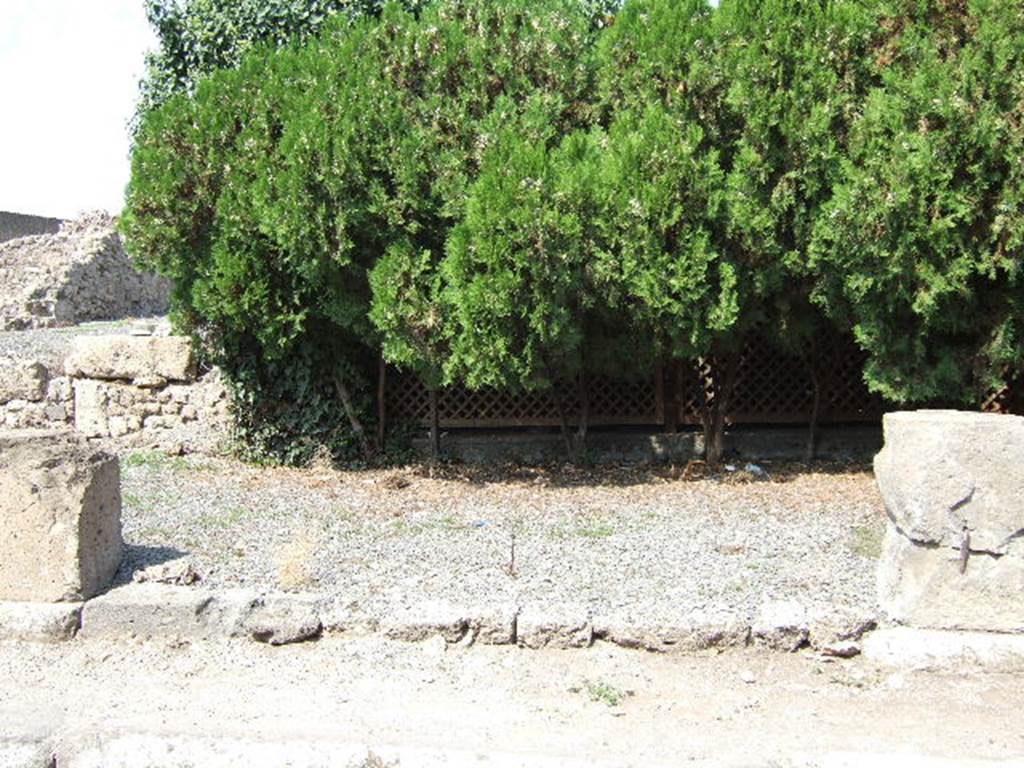 VII.6.25 Pompeii. September 2005. Looking north at entrance to large room, linked in rear wall to VII.6.22 before bombing. On the left, against the (vanished) west wall, would have been a staircase to the upper floor.
See Eschebach, L., 1993. Gebäudeverzeichnis und Stadtplan der antiken Stadt Pompeji. Köln: Böhlau. (p.295)