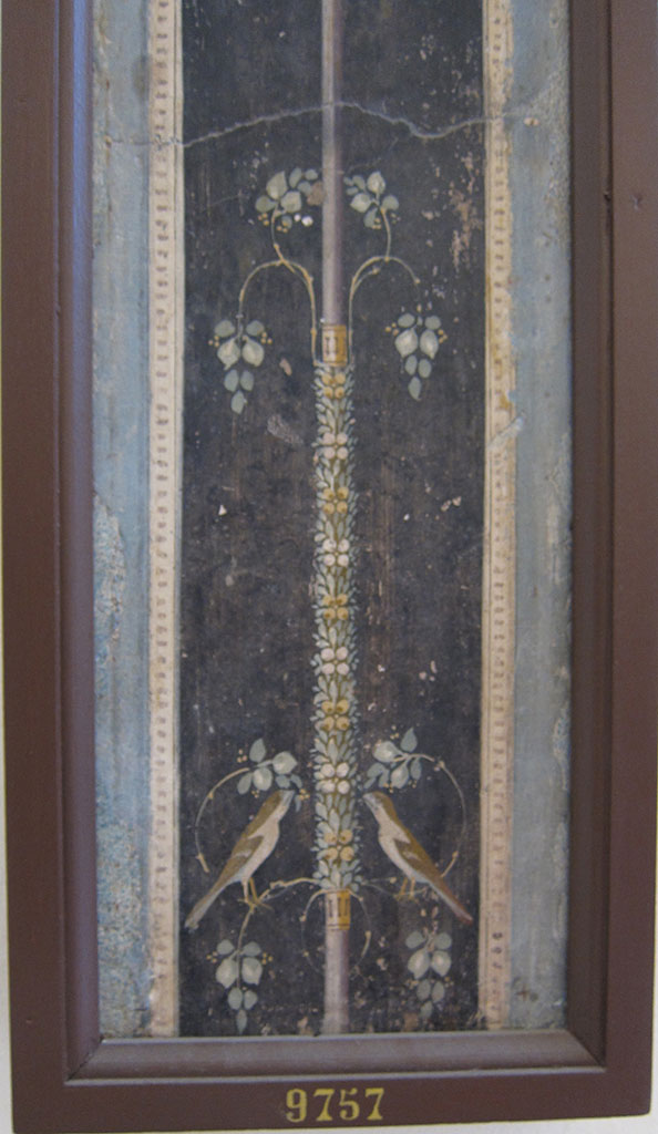 VII.6.28 Pompeii. Found on 10th April 1762. Lower part of the painting which contains a stick with leaves and flowers, and four birds
Now in Naples Archaeological Museum. Inventory number 9757.