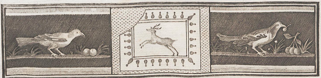 VII.6.28 Pompeii. Found on 30th April 1762. Painting of blackbird left with two cherries and blackbird right with cherry in the beak, branch and three cherries.
Now in Naples Archaeological Museum. Inventory number 8746.
See Antichità di Ercolano: Tomo Quarto: Le Pitture 4, 1765, 20, 95.