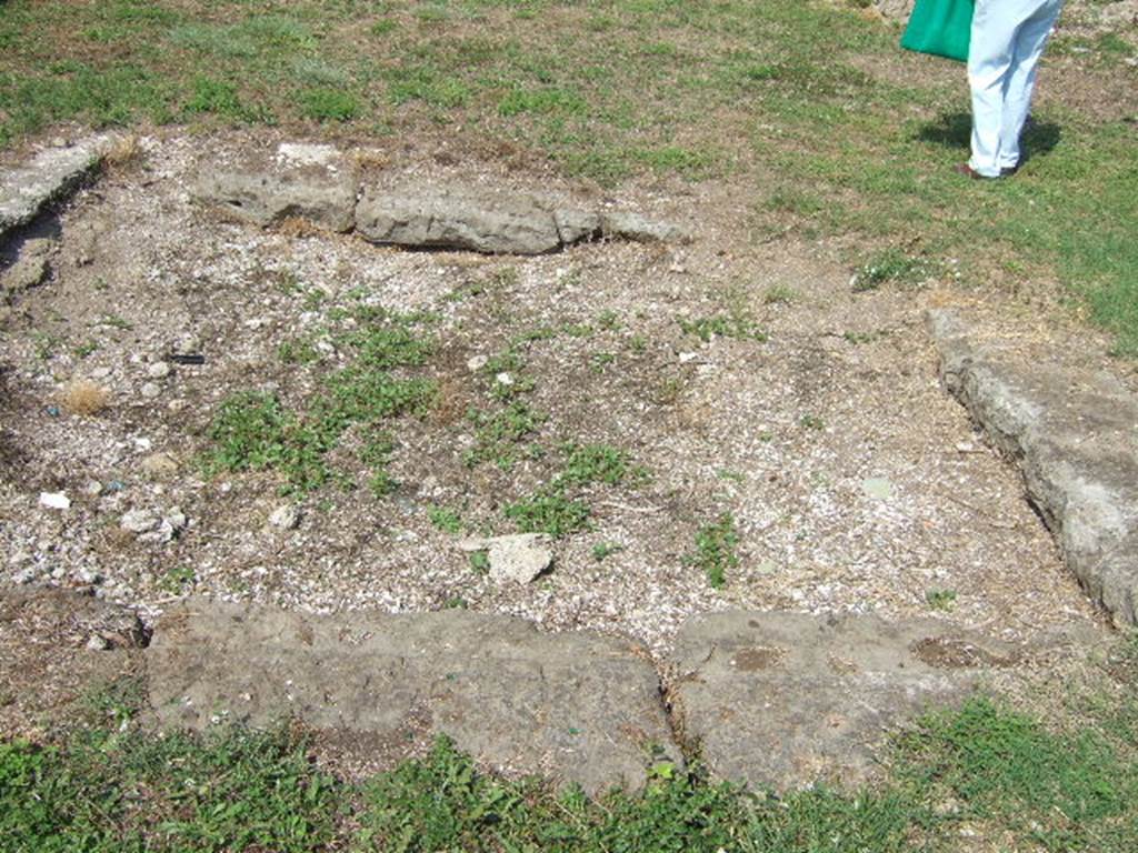 VII.6.28 Pompeii. September 2005. Remains of impluvium in atrium.