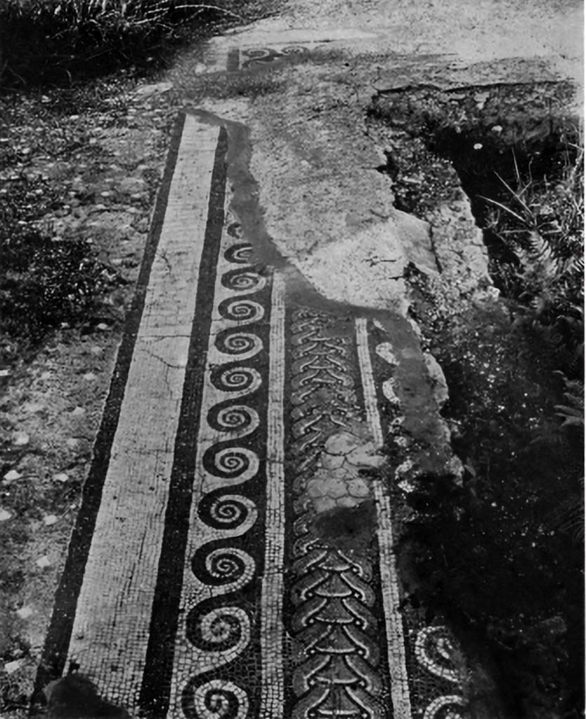 VII.6.28 Pompeii. Atrium 96. 1930 photo showing the mosaic border of the impluvium before it was destroyed in 1943.
See Blake M., 1930. The pavements of the Roman buildings of the Republic and early empire. MAAR 8, p. 77, & Tav 17,2.