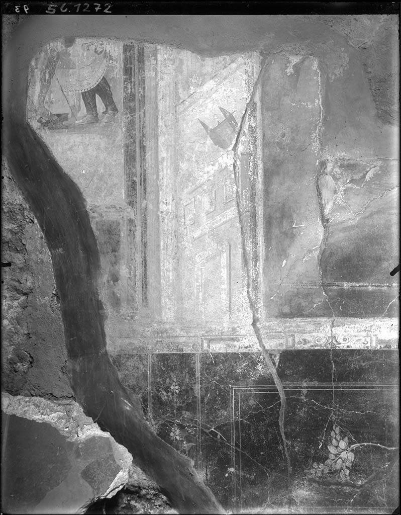 VII.6.28 Pompeii. Cubiculum 8, east wall, with black zoccolo with panels
DAIR 56.1272. Photo © Deutsches Archäologisches Institut, Abteilung Rom, Arkiv.