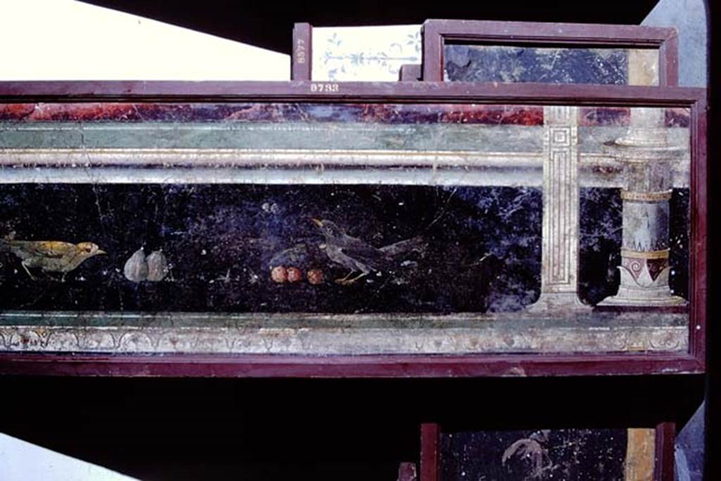VII.6.28 Pompeii. 1968. Architectural painting with two birds, figs and cherries.
Now in Naples Archaeological Museum.  Inventory number 9733.
Photo by Stanley A. Jashemski.
Source: The Wilhelmina and Stanley A. Jashemski archive in the University of Maryland Library, Special Collections (See collection page) and made available under the Creative Commons Attribution-Non-Commercial License v.4. See Licence and use details.
J68f1626
According to Prisciandaro and Pagano, the above was found with other pictures and a mosaic threshold -
30 Apr 1762   PAH I, 1, 145-146, VII, vi, 28 “si sono scoperte 3 pitture: 
 - la prima, di tre pal. e nove per diciotto on., rappresenta un tordo che mangia dei fichi, un mulo che sembra che stia mangiando alcuni corbezzoli su un ramo 
       (showing a thrush eating figs, a mule that seems to be eating some arbutus on a branch) 
       (MN 9733; AdE IV, 25, 123; NR 1115; Helb. 1620)
 - pal. 3, on. 9 x on. 15, merlo con ciliegia nel becco, ramo e tre ciliegie, altro merlo
       (showing blackbird with cherry in the beak, branch with three cherries, and another blackbird) -  
       (MN 8746; AdE IV, 20, 95; NR 1116; Arditi 1112). 
 - Note: MN 8748, a picture with the same subject may have come from the same place AdE IV, 20,95; NR 1117.
 - mela cotogna e tre frutti 
 - sulla stessa parete vi sono altri uccelli e una donna, però sono consumati 
 - soglia a mosaico decorata con vasi, alberi, rami e fiori con tessere bianche, nere, azzurre e gialle, di pal. 2 e on. 9” 
   (MN sn; sala CXIV; attributi di Iside).
See Pagano, M. and Prisciandaro, R., 2006. Studio sulle provenienze degli oggetti rinvenuti negli scavi borbonici del regno di Napoli. Naples: Nicola Longobardi, p. 41.