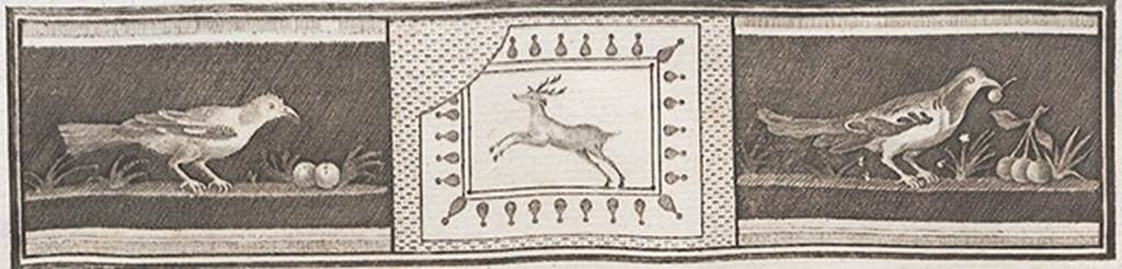 VII.6.28 Pompeii. Found 30th April 1762. Drawing of 1765 showing blackbird with cherries and another blackbird with figs. 
Now in Naples Archaeological Museum. Inventory number 8746.
According to Prisciandaro and Pagano, this may also have come from the same place as the other pictures described above:
-  pal. 3, on. 9 x on. 15, merlo con ciliegia nel becco, ramo e tre ciliegie, altro merlo (showing blackbird with cherry in the beak, branch and three cherries, and another blackbird.
-  MN 8746; AdE IV, 20, 95; NR 1116; Arditi 1112.
See Antichità di Ercolano: Tomo Quarto: Le Pitture 4, 1765, pl. 20, p. 95. 
Note: MN 8748, a picture with the same subject may have come from the same place.