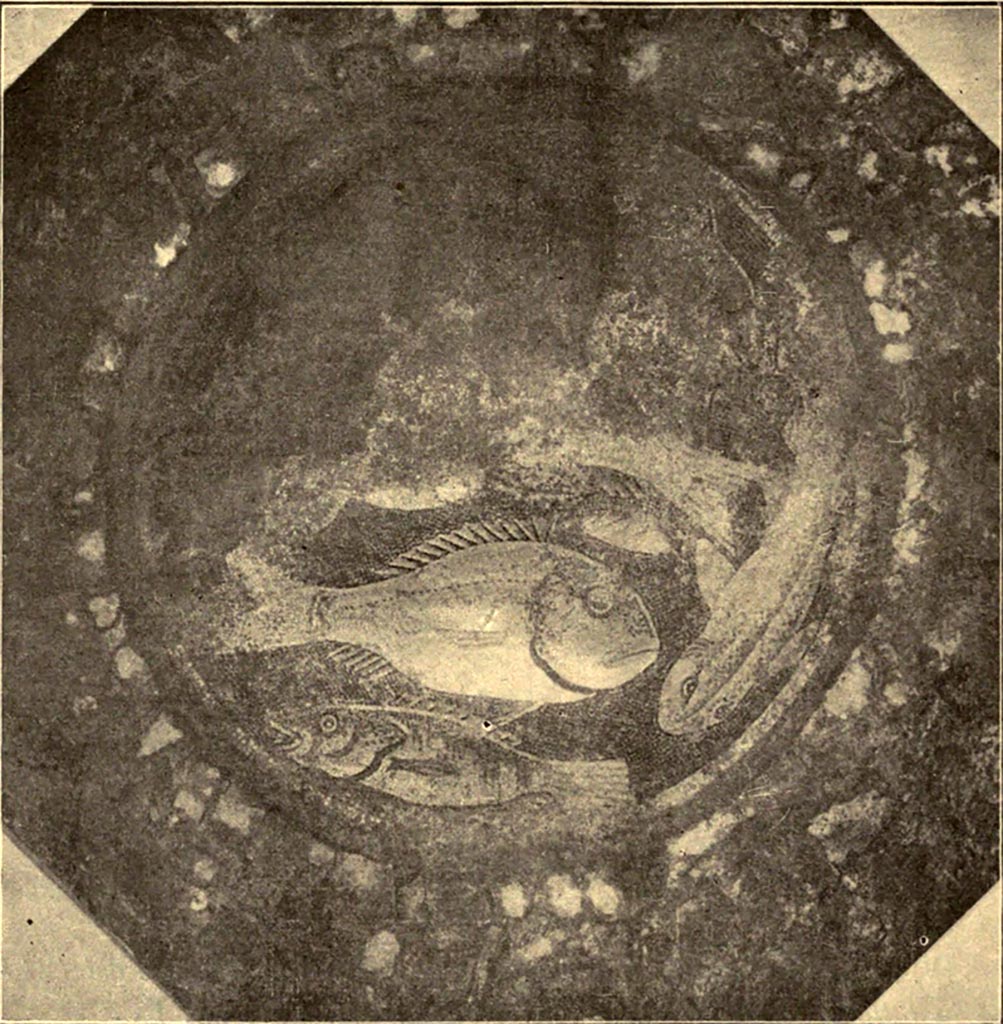 VII.6.38 Pompeii. Emblema circolare che presenta le figure di alcuni pesci in vermiculatum assai finemente eseguite.
See Notizie degli Scavi di Antichità, 1910, p.555-7, fig. 1.