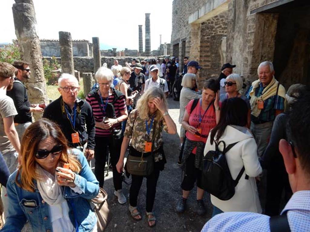 VII.7.2/5 Pompeii, May 2018. 
Looking east along crowded south portico “m”, with just some of the three million tourists a year. Photo courtesy of Buzz Ferebee.
Oecus “n” and corridor “l” (L) are the two doorways at the east end of south portico “m”.
Oecus “n” and oecus “q” are the two doorways at the east end of south portico “m”.