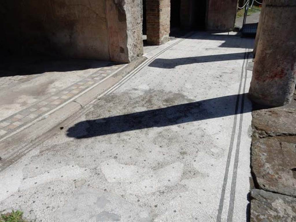 VII.7.5, Pompeii. May 2018. Looking east along north portico, with threshold to doorway of exedra “u”, in upper left. 
Photo courtesy of Buzz Ferebee.