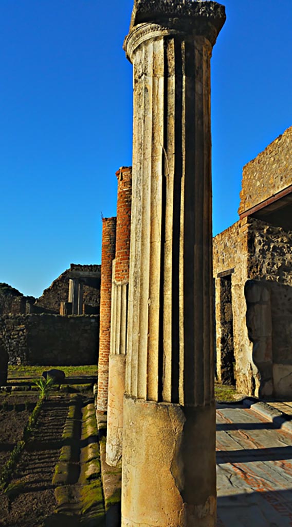 VII.7.5 Pompeii. December 2019. 
Looking west across north portico. Photo courtesy of Giuseppe Ciaramella.