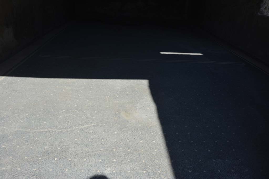 VII.7.5 Pompeii. September 2019. Triclinium (q), looking north across flooring.
Foto Annette Haug, ERC Grant 681269 DÉCOR.