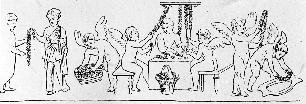 VII.7.5 Pompeii. W.47.  Drawing of wall painting showing Cupids, making flower garlands.
According to Bragantini, this would have been seen on the north wall of the first oecus (m) on the east side of the peristyle.
See Bragantini, de Vos, Badoni, 1986. Pitture e Pavimenti di Pompei, Parte 3. Rome: ICCD. (p.160, from “ambiente m”).
See Sogliano, A., 1879. Le pitture murali campane scoverte negli anni 1867-79. Napoli: Giannini. (p.63, no.364).
Photo by Tatiana Warscher. Photo © Deutsches Archäologisches Institut, Abteilung Rom, Arkiv.
