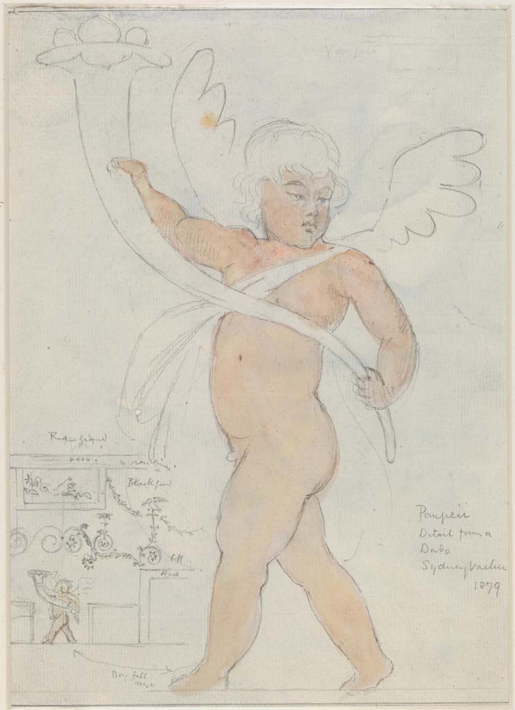 VII.7.5 Pompeii. 1879. Painting/drawing by Sydney Vacher described as Detail from a Dado. 
The drawing, on the left, describes the middle of the wall as being red, with a black dado/zoccolo with cupid and red edged squares against the black zoccolo.
Photo © Victoria and Albert Museum, inventory number E.4414-1910.