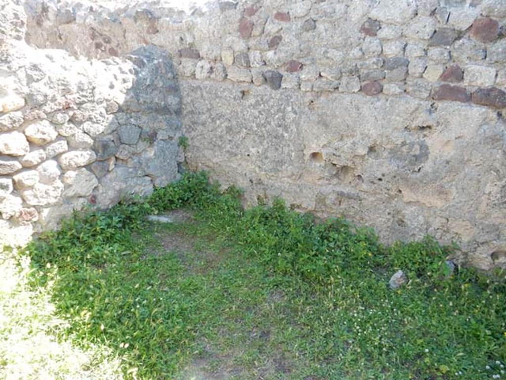 VII.7.10 Pompeii. May 2018. Oecus (m), south wall and south-west corner, and west wall. 
Photo courtesy of Buzz Ferebee.
