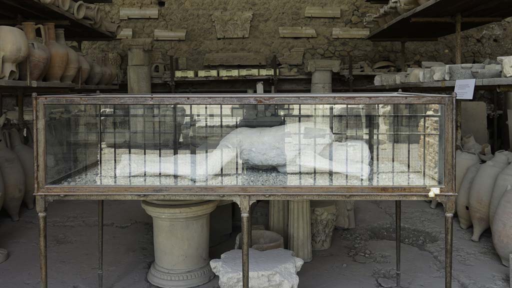 VII.7.29 Pompeii. August 2021. 
Items in storage and plaster-cast of young man found in garden of I.6.2, House of the Cryptoporticus. Photo courtesy of Robert Hanson.