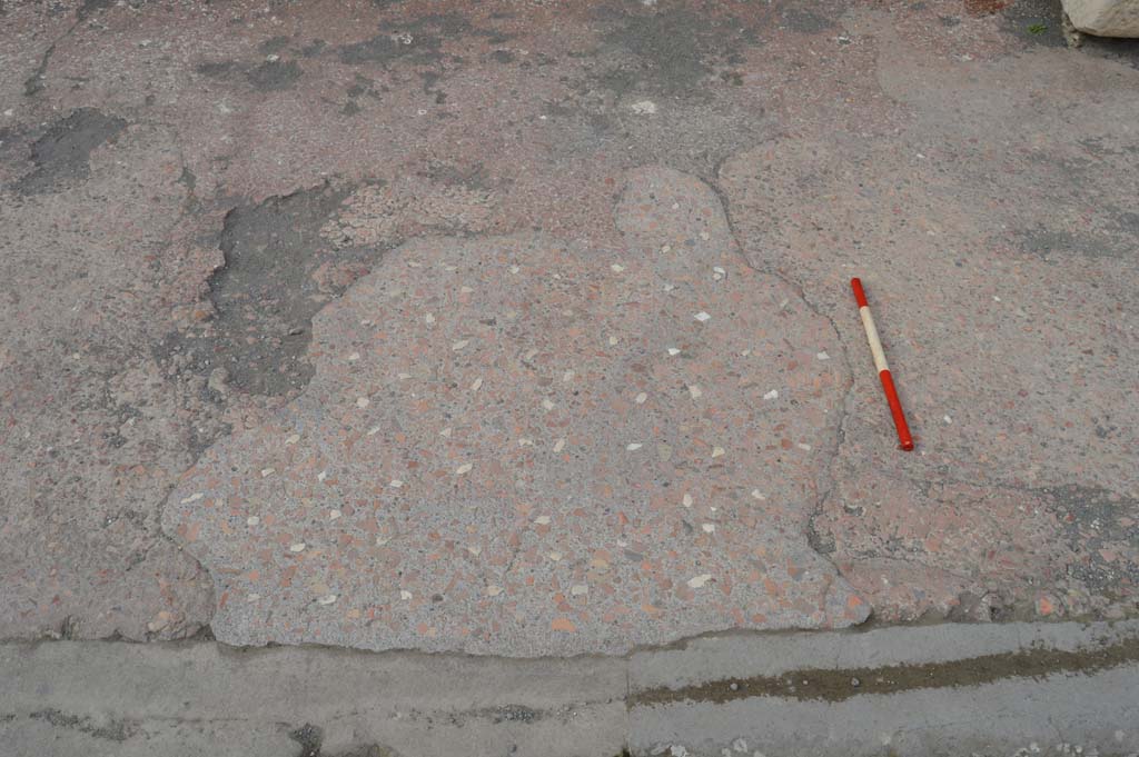VII.7.32 Pompeii. March 2019. Detail of pavement on east side of entrance doorway. 
Foto Taylor Lauritsen, ERC Grant 681269 DÉCOR.