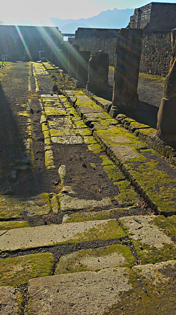 VII.7.32 Pompeii. December 2019. 
Looking south along west portico. Photo courtesy of Giuseppe Ciaramella.