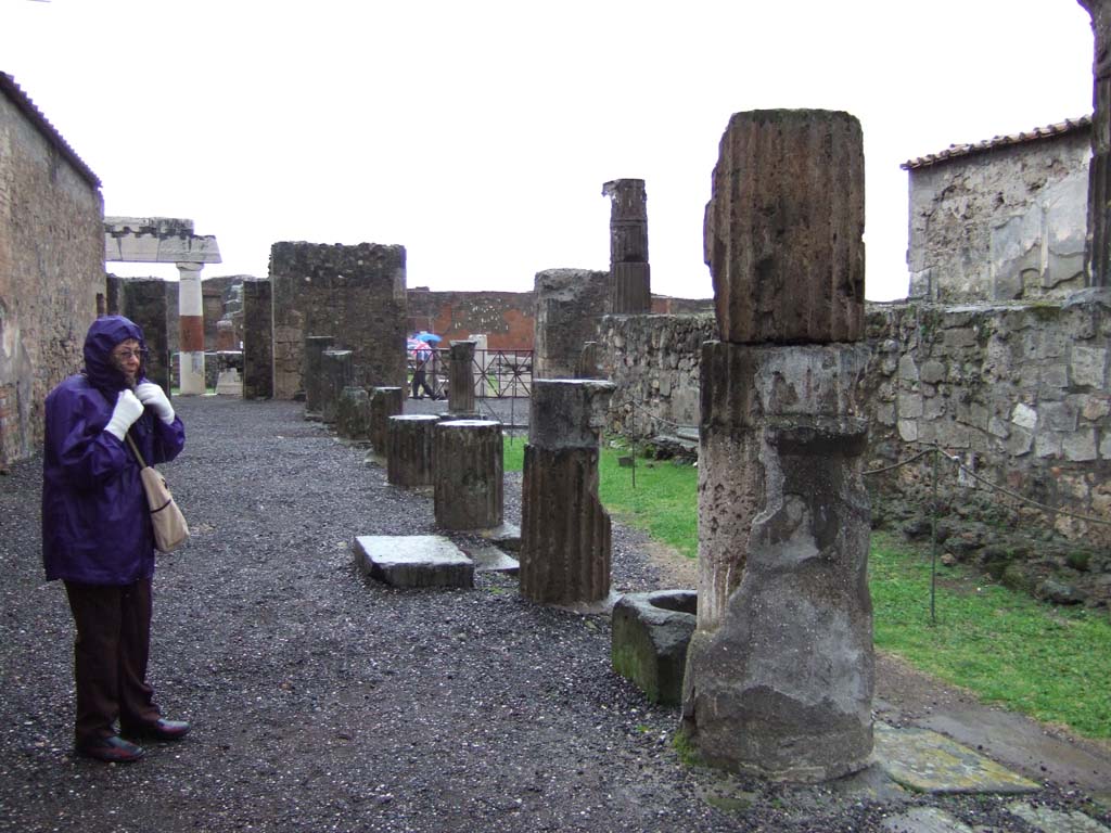 VII.7.32 Pompeii. December 2005. Looking east along north side of colonnade from north-west corner.