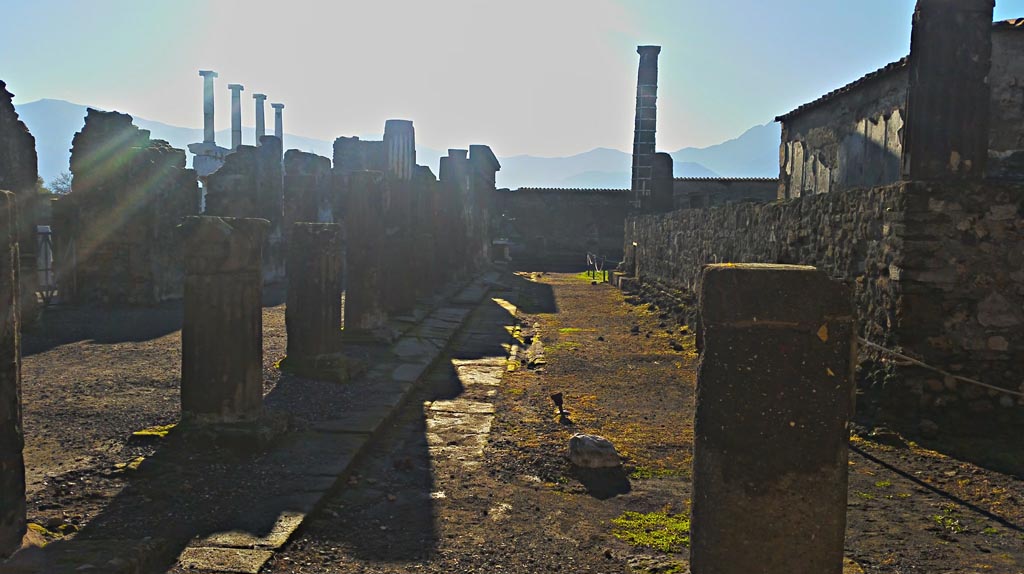 VII.7.32 Pompeii. December 2019. Looking south along east side from north-east corner. Photo courtesy of Giuseppe Ciaramella.