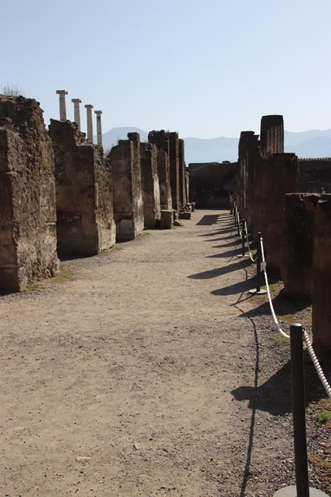 VII.7.32 Pompeii. October 2023. 
Looking south along east portico. Photo courtesy of Klaus Heese.