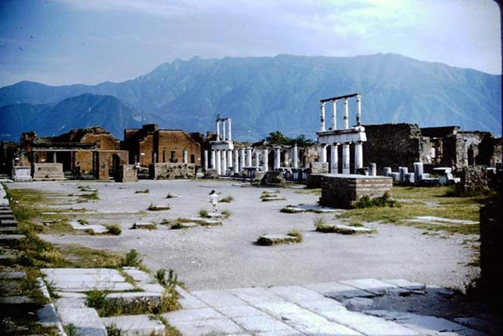 VII.8, Pompeii. 1964.  Looking south-west from east side.    Photo by Stanley A. Jashemski.
Source: The Wilhelmina and Stanley A. Jashemski archive in the University of Maryland Library, Special Collections (See collection page) and made available under the Creative Commons Attribution-Non Commercial License v.4. See Licence and use details. J64f1322