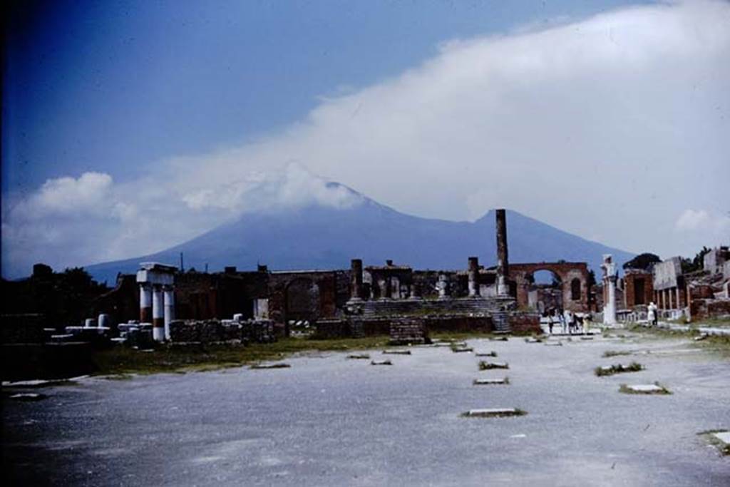 VII.8 Pompeii. 1964. Looking north. Photo by Stanley A. Jashemski.
Source: The Wilhelmina and Stanley A. Jashemski archive in the University of Maryland Library, Special Collections (See collection page) and made available under the Creative Commons Attribution-Non Commercial License v.4. See Licence and use details. J64f1254