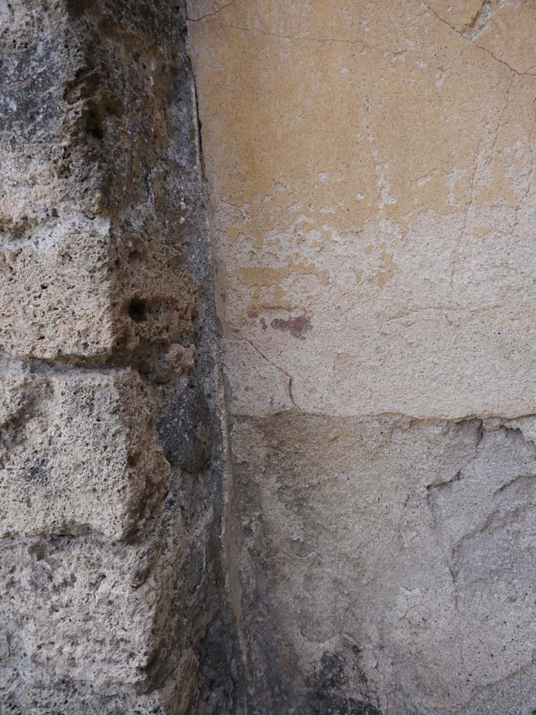 VII.8.01 Pompeii. September 2018. Detail of painted stucco in south-west corner on south wall. 
Foto Anne Kleineberg, ERC Grant 681269 DÉCOR.