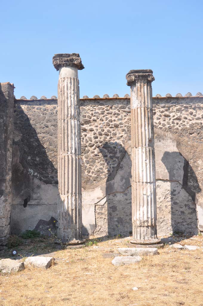 VII.8.01 Pompeii. July 2017. Columns on west side of Temple, at south end.
Foto Anne Kleineberg, ERC Grant 681269 DÉCOR.