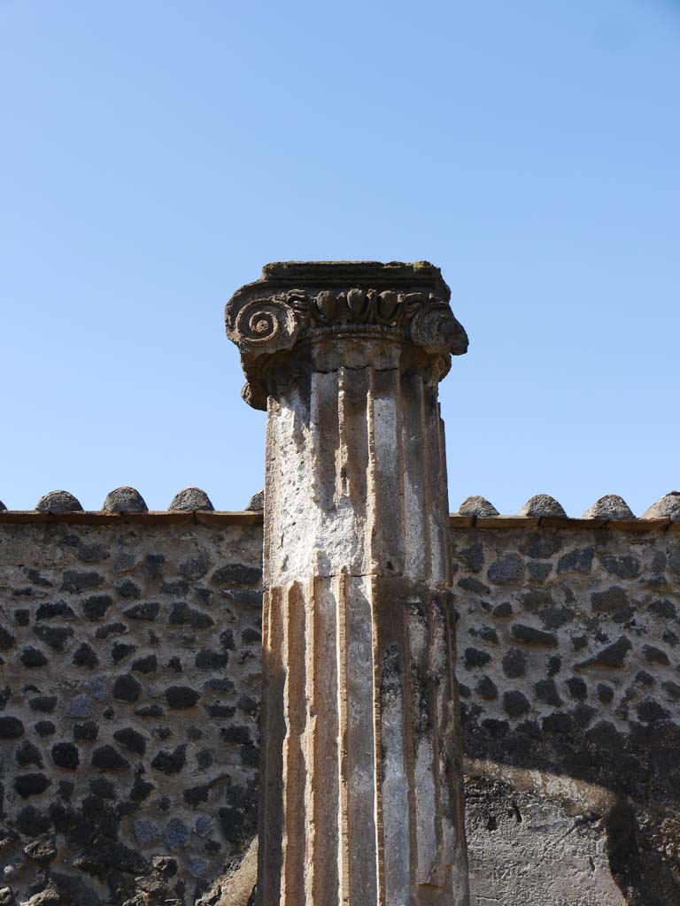 VII.8.01 Pompeii. September 2018. Detail of column near west wall. 
Foto Anne Kleineberg, ERC Grant 681269 DÉCOR.