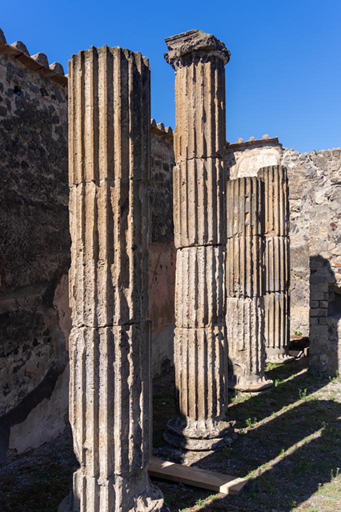 VII.8.1 Pompeii. October 2023. 
Looking north along line of columns near west wall at north end. Photo courtesy of Johannes Eber.