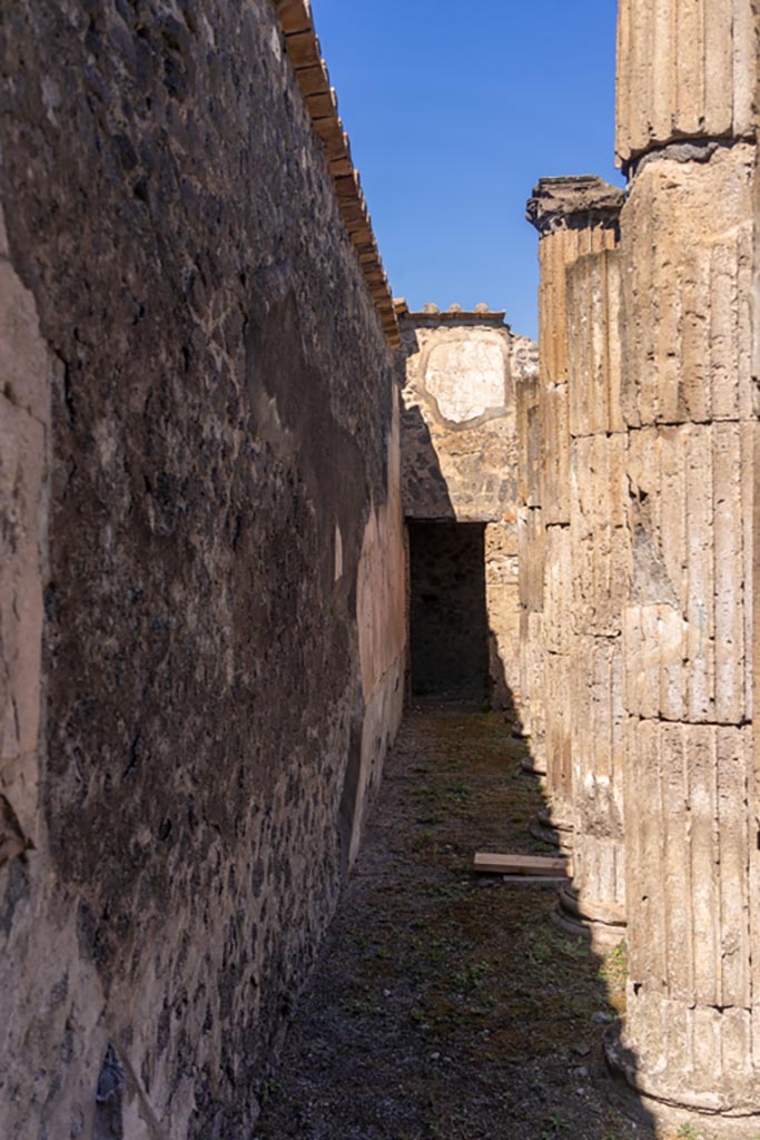 VII.8.1 Pompeii. October 2023. 
Looking north along west wall in Temple. Photo courtesy of Johannes Eber.